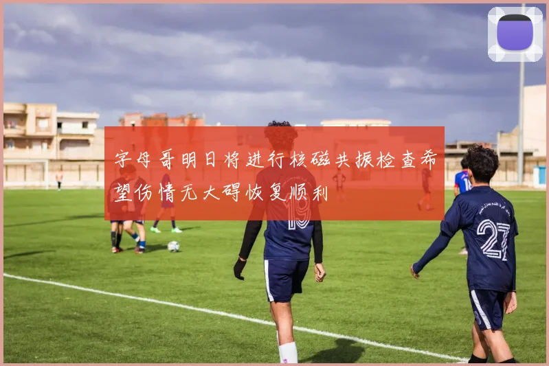 字母哥明日将进行核磁共振检查希望伤情无大碍恢复顺利