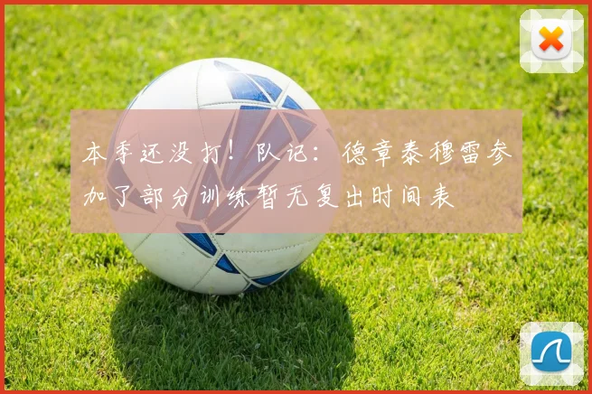 本季还没打！队记：德章泰穆雷参加了部分训练暂无复出时间表